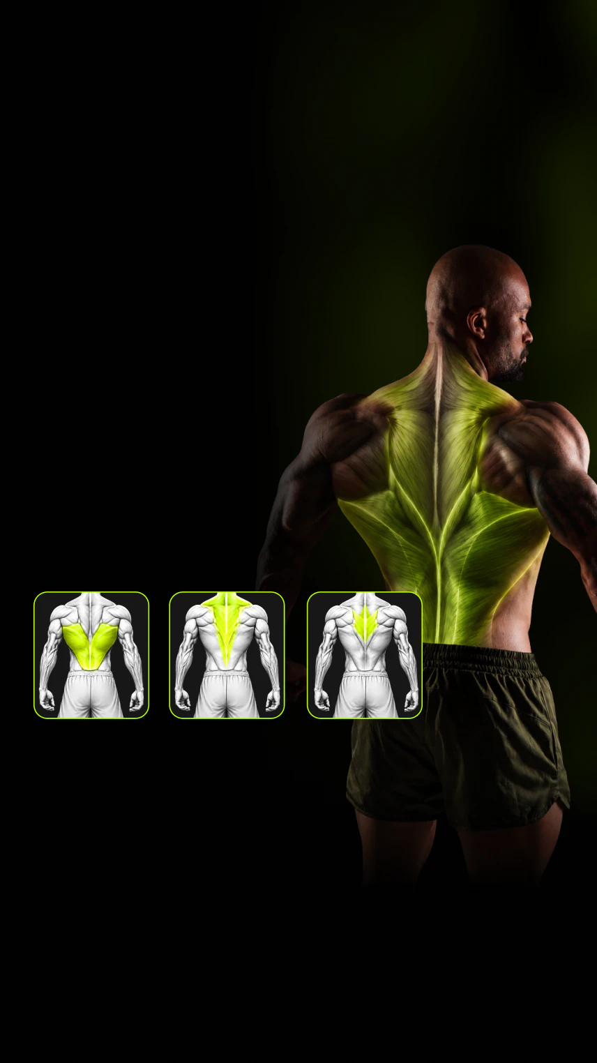 Back Anatomy